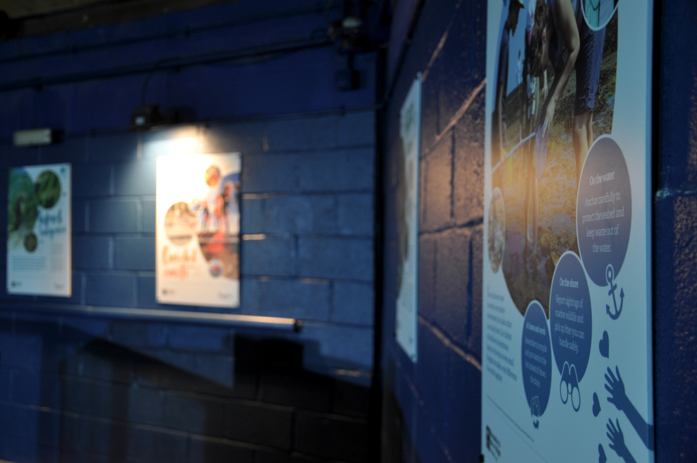 Boost for Blue Reef Aquarium Hampshire and Isle of Wight Wildlife Trust